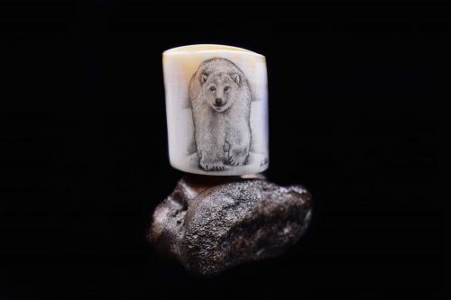 POLAR BEAR SCRIMSHAW